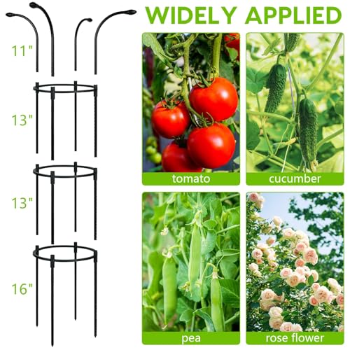 HASTHIP® 51 inch Flower Trellis Climbing Plants Trellis Plant Support Frame Sheathed Steel Pipe Plant Climber Structure 11 inch Dia Garden Trellis for Roses, Morning Glories, Clematis
