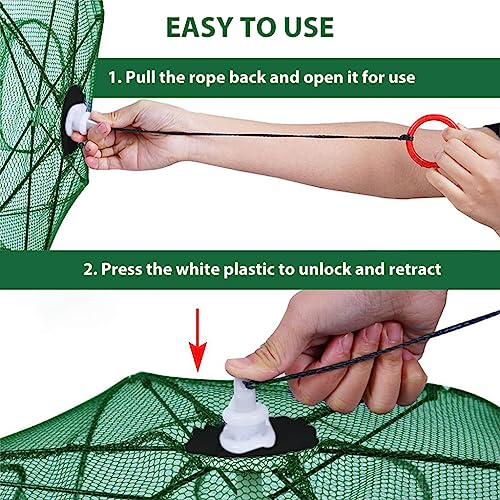 Proberos® Foldable Fishing Net Trap with Rope 6-Hole Collapsible Steel Bar Cage Automatic Folding Portable Nylon Bait for Fish Crab Lobster Minnow Shrimp Crawfish Outdoor Accessory 3 PCS