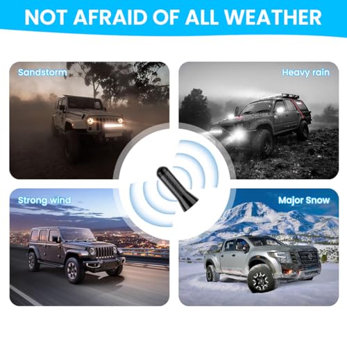 STHIRA® Car Short Antenna Decorative 1.37 Inch Sporty Carbon Fiber Stubby for Roof Trunk 2PCS
