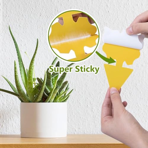 HASTHIP® 30 PCS Fruit Fly Trap for Home Yellow Sticky Trap for Flower Pot Strong Adhesive Pre-glued Bug Traps for Planter Flower Pots