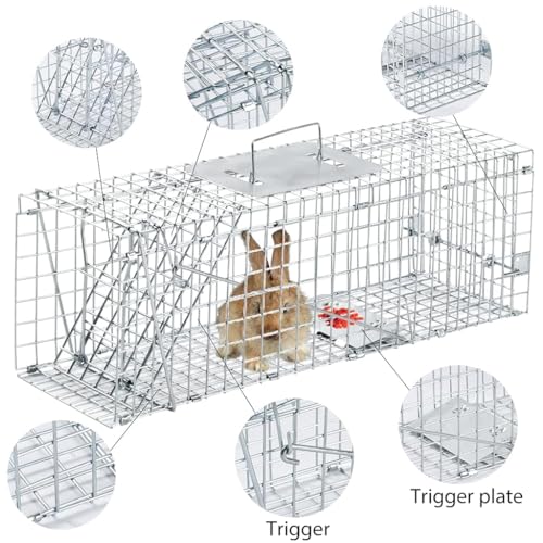 Proberos® Live Animal Cage Trap One-Door for Rabbits Stray Cat Squirrel Raccoon Mole Release with Handle Urban Wildlife Rescue 24x7x8 Silver 3 PCS