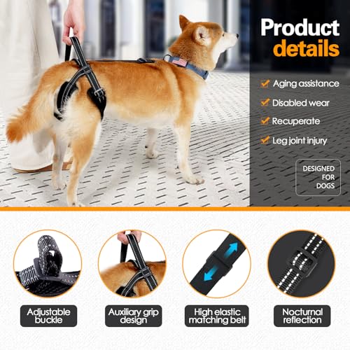 Qpets Dog Lift Harness, Dog Harness for Dog Rear Legs Walking Support, Adjustable Walking Assistant Harness with Quick Release Buckle for Aging Dog/Disabled/Injured Dog (Weight: 10-17.5kg)