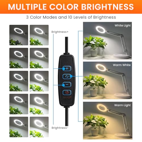 HASTHIP® Desk Magnifying Glass with USB LED Light, 5X Magnifier with Flexible Metal Arm, 3-Color for Crafting, Sewing, Electronics Repair, Model Building 3PCS