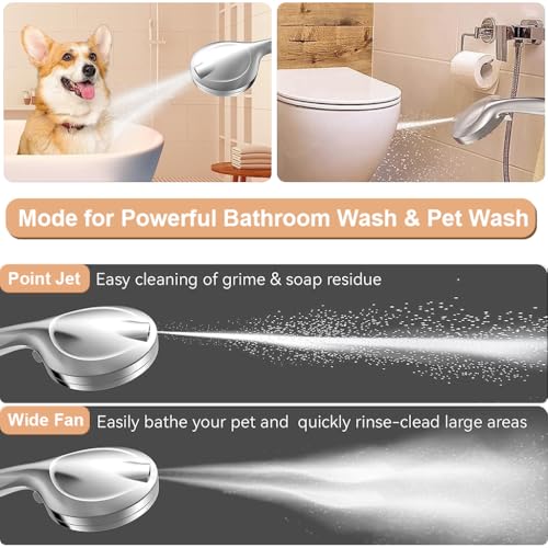HASTHIP® High voltage electroplating handheld showerhead bathroom with 10 water outlet modes