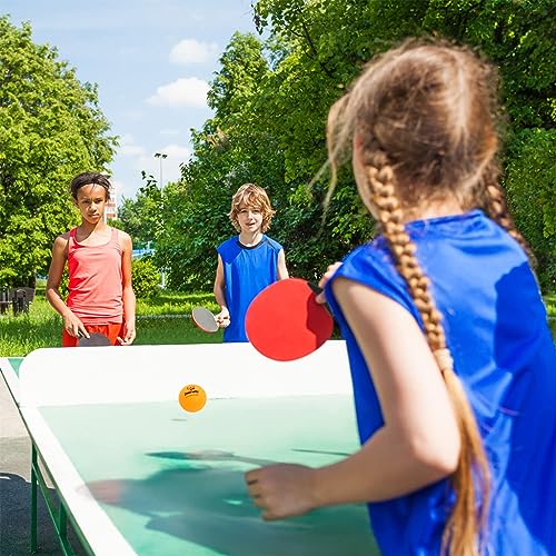 Proberos® 3 Stars Table Tennis Racket Professional Set Storage Bag 3 Ping Pong Balls All-in-One Paddle Playset Bats for Boys Girls Beginners Gift 3 PCS