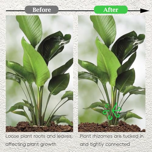 HASTHIP 4Pcs Plant Supports Multi Sizes Plant Supports Rings 6-Claw Plastic Plant Stem Supports