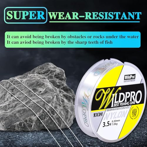 Proberos® Fishing Wire 100m 0.3mm Line Clear Nylon String Invisible Hanging Beading Strong Abrasion Resistant Monofilament 39lbs for Fishing 2PCS