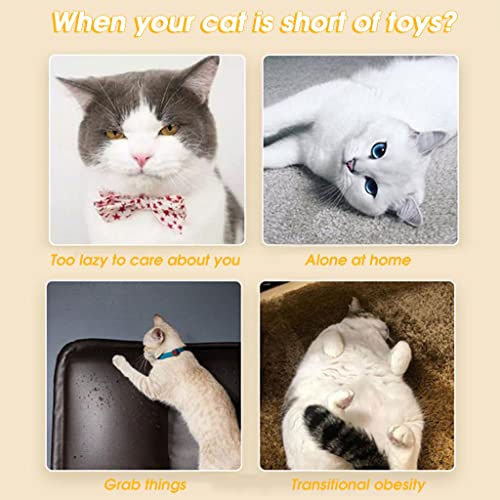 Qpets Cat Toys Cat Toy Interactive for Indoor Double Head Teasing Toy Cat Wand Teaser Cat Feather Wand Toy Suction Cup Design