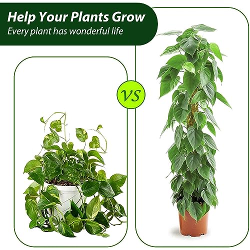 HASTHIP 2pcs 75cm Moss Stick for Plants, Bendable Plant Stakes and Supports for Money Plant, Climbing Indoor Potted Plants, Natural Coconut Fiber Plants Pole