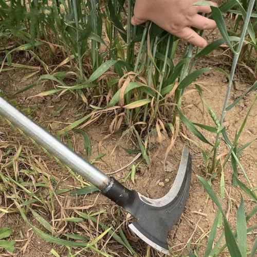 HASTHIP® Carbon Steel Axe Tool for Wood Cutting Gardening Sickle for Cutting Grass 52 CM Weed Remover with Handle 2 in 1 Grass Removing Chopping Harvesting Pruning 3 PCS
