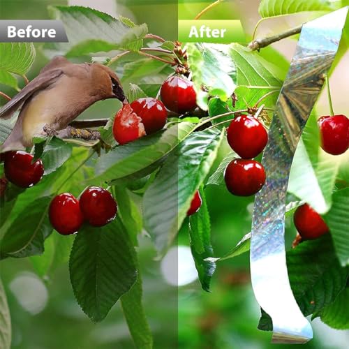 HASTHIP 80M Bird Scare Tape Reflective - Multicolored Reflective Birds Repellent - Tapepigeon Repellent For Balcony - Garden Pigeon Scarer - Birds Deterrent Repellent Devices Tape(4.8cm*80m-2 Roll)