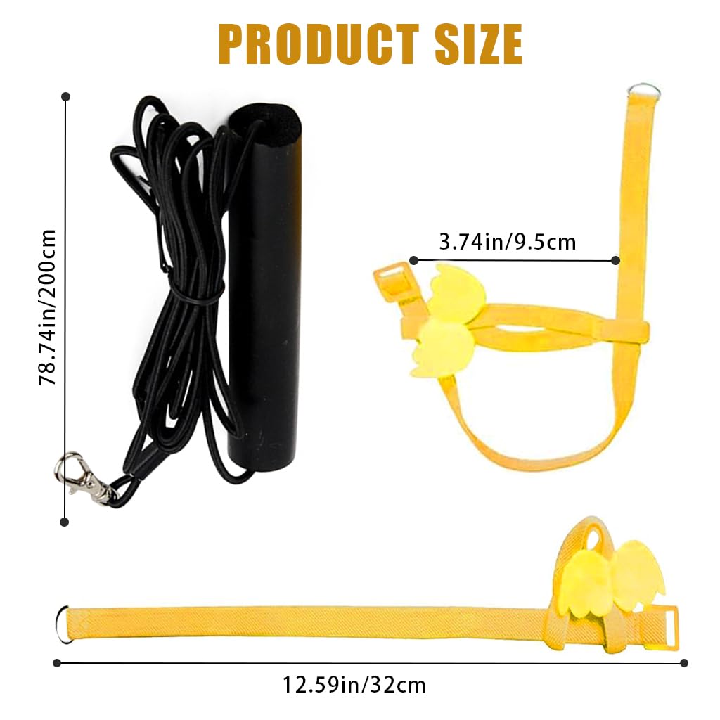 Qpets Pet Parrot Bird Harness, Anti-bite Outdoor Parrot Bird Flight Safety Belt for Parrot Training, Bird Toys Elastic Rope with Cute Angel Wings for Parrot, Yellow
