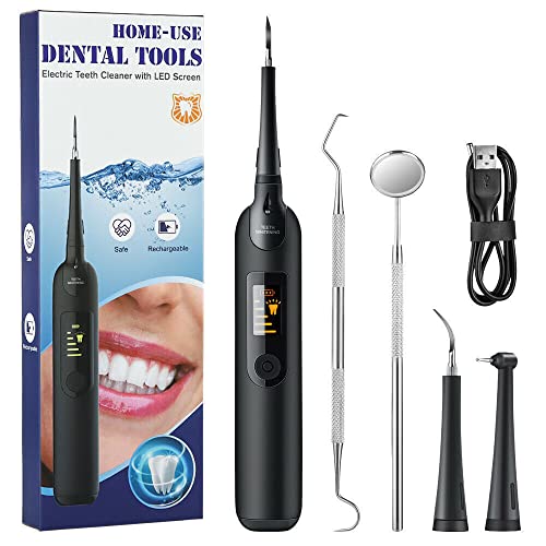 HANNEA Teeth Cleaning Kit Tooth Cleaner with 3 Working Modes No Need Water Teeth Flosser Household Remover for Teeth Fighting Tartar Tooth 2 Replaceable Heads and LED Light Teeth Stain Remover