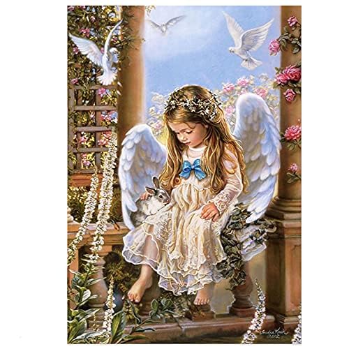 HASTHIP 5D Diamond Painting by Number Kit for Adults, Full Drill AngelDiamond Painting Rhinestone Embroidery Pictures for Adults Kids Relaxation and Home Wall Decor 30x40cm(Multi 6)