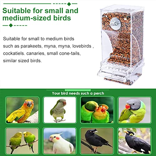 Qpets® Bird Feeder for Cage, Food Parrot Seed Feeders with Perch, Acrylic Transparent Container Cages for Lovebirds Parakeets - 3.35 x 2.95 x 7.28 inches 3PCS