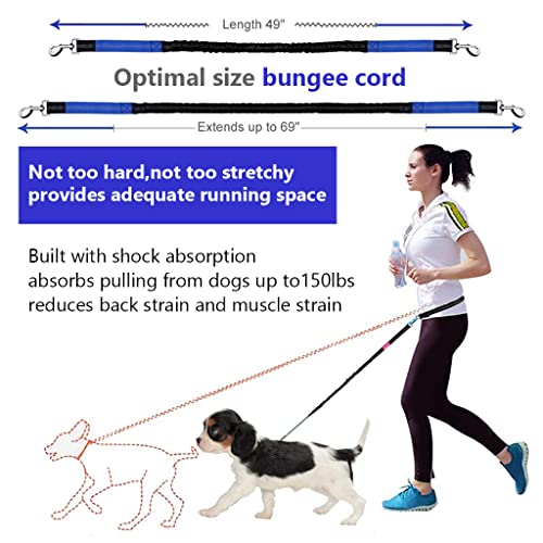 Qpets Hands Free Dog Lead for Running Walking Training Hiking, Dual-Handle Shock Absorbing Reflective Bungee, Adjustable Waist Belt and Pouch, Ideal for Medium to Large Dogs for Running, Walking Dog