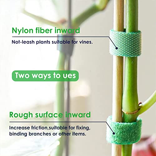HASTHIP® 20PCS Plant Tie Strap Reusable Nylon Garden Tape Rolls Back to Back Hook and Loop for Tomato Support Tree Ties Cable Organizer 1m/roll