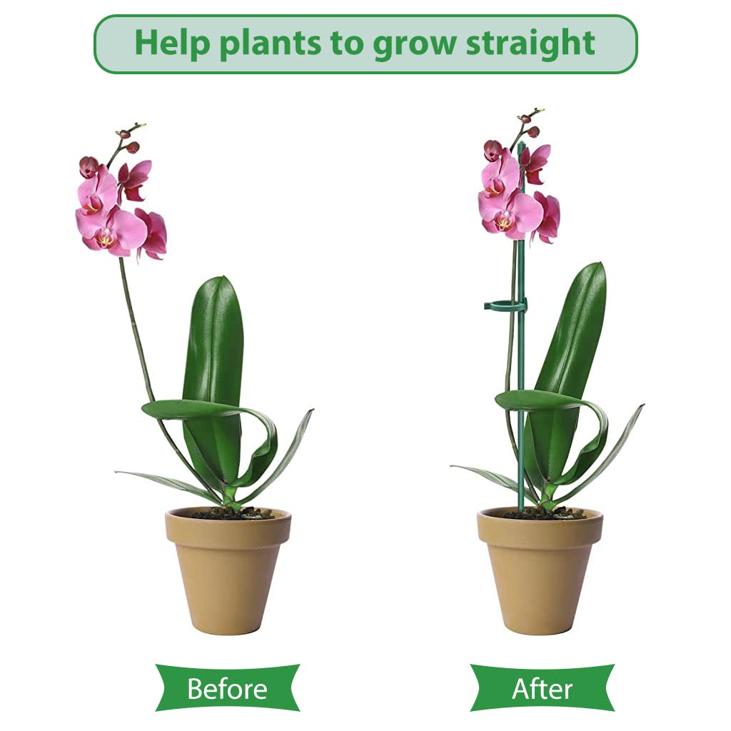 HASTHIP 10pcs Plant Stakes Suport, Reusable Palstic 30cm Plant Stake Flower Support Stake Rings, Adjustable Plant Support Sticks for Phalaenopsis Orchid Single Stem Flowers Amaryllis Peony Lily
