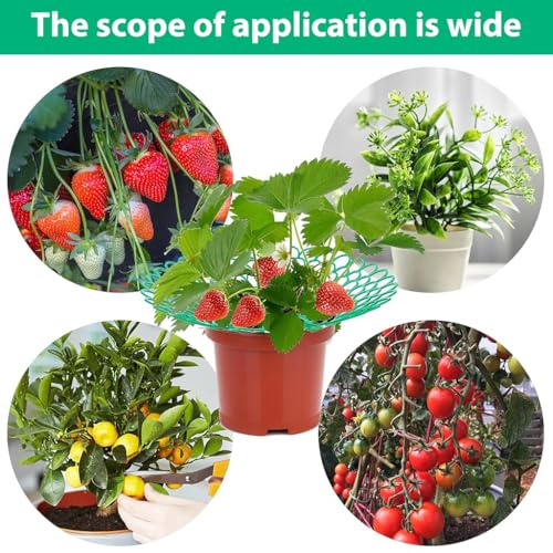 HASTHIP Strawberry Suppoort 10.49 inches Diameter Plastic Strawberry Fruits Support Grid Support Strawberry Fruits Holder Fruits Support Rack Prevent Decay