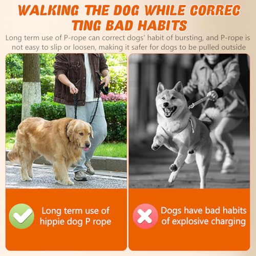 Qpets Dog Leash Metal, Dog Chain Leash for 33-60 lbs Medium Large Dog Breeds 5.5Ft Iron Chain Leash with Nylon Handle, Quick Release Dog Leash for Border Collie, Brittany Spaniel, Bull Terrier, L