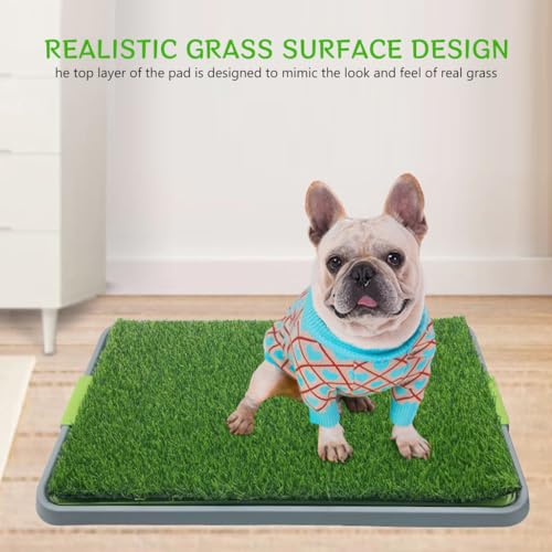 Qpets Dog Potty Training Pad 16.7x16.5 Inches Puppy Potty Pee Training Pad Realistic Lawn Dog Potty Training Pad Spill-proof Dog Potty Training Pad for Large, Medium Dogs