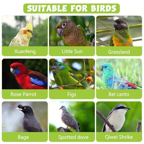 Qpets Parrot Leg Ring, Elastic Rope Parrot Ring for Leg, Parrot Toy 6.6ft Bird Aviator Leash for Budgerigars, Cockatiels, Parrot Bird Leash with 0.75cm Feet Loop & Adjustable Wrist Clasp