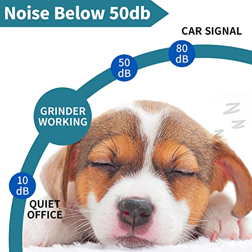 Qpets® Professional Electric Dog Nail Grinder with 2 LED Light, Trimmer for Cat Dog, Low Noise Pet Clippers, Nail Cutter, 2 PCS