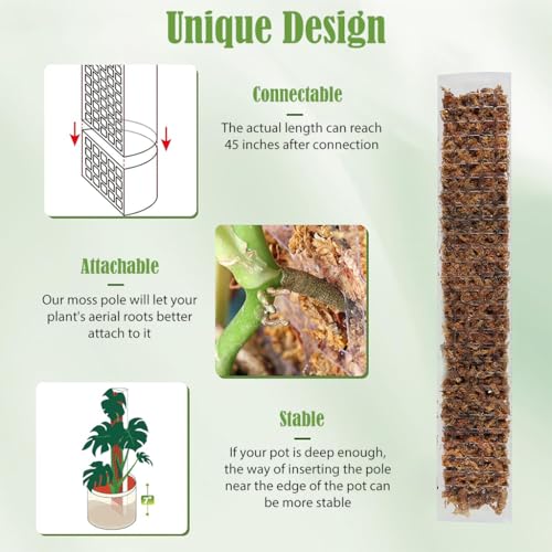 HASTHIP® 6PCS Plastic Moss Pole 23.62 Inches Monstera Climbing Pole for Plant Pot Hollow Out Upright Growing DIY Assembly