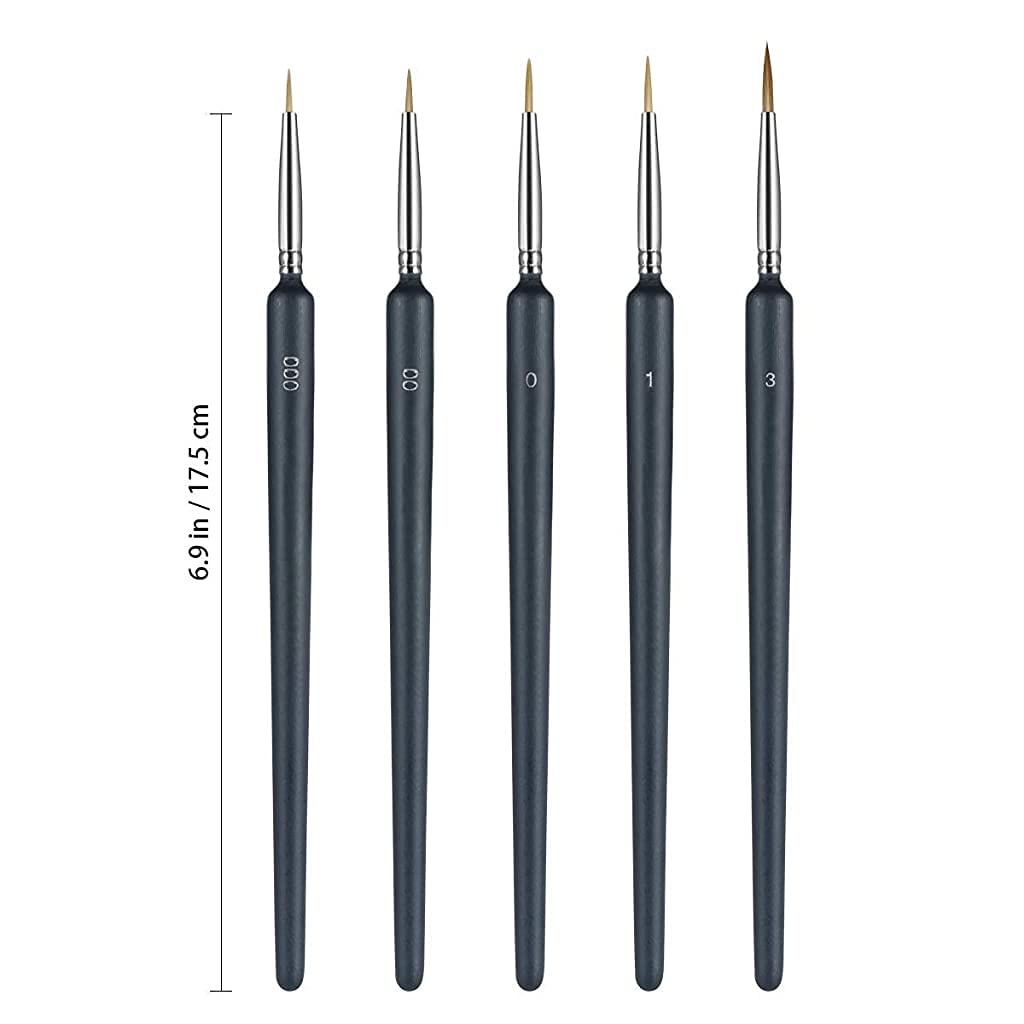HASTHIP 10 Pieces Fine Detail Paint Brush Miniature Painting Brushes Kit Mini Paints Brush Set for Acrylic, Watercolor, Oil, Face, Nail, Scale Model Painting, Line Drawing(Black)
