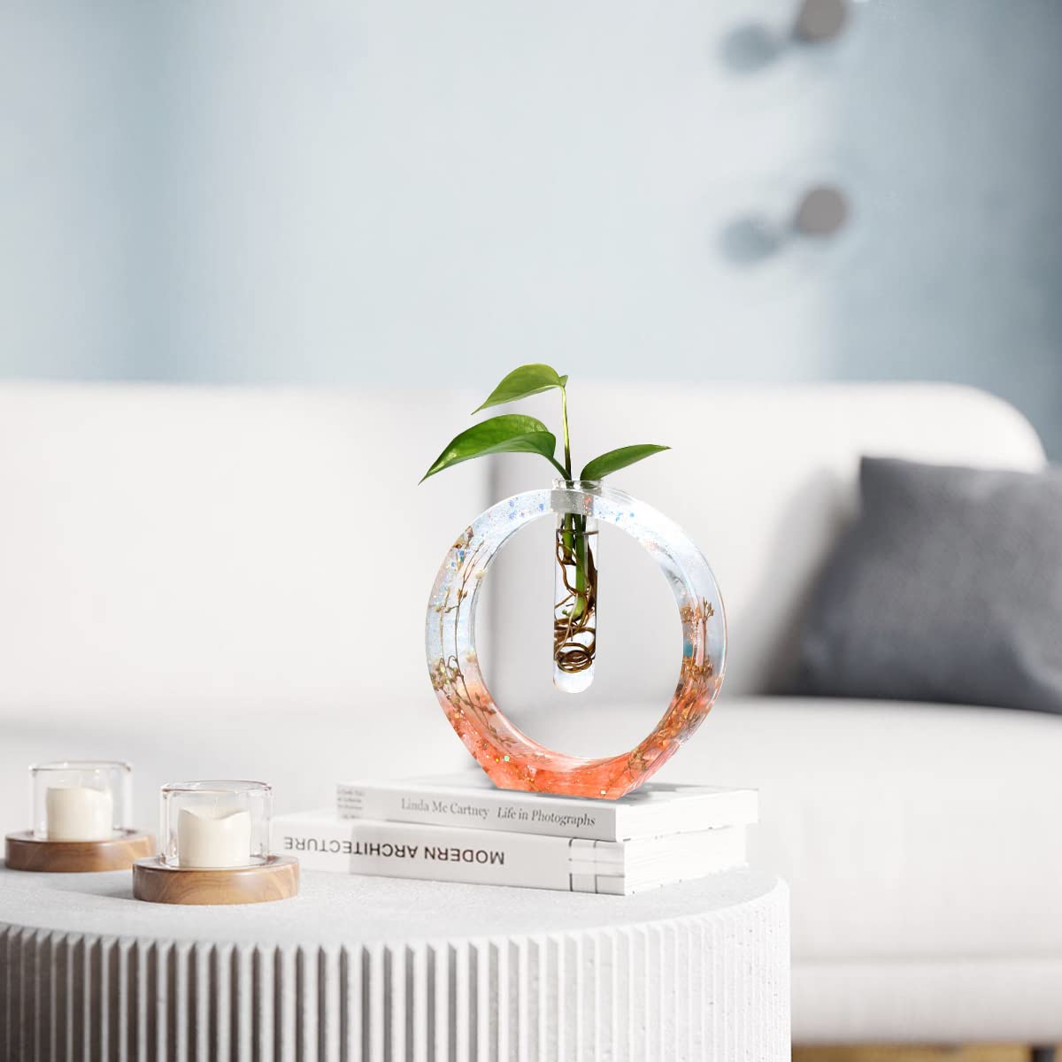 HASTHIP Vase Tube Resin Molds, Plant Propagation Station Silicone Epoxy Mold with 2 Test Tubes, Vase Epoxy Resin Mold for for Resin Casting Flowers, Home, Office, Desktop Decoration, Oval Style