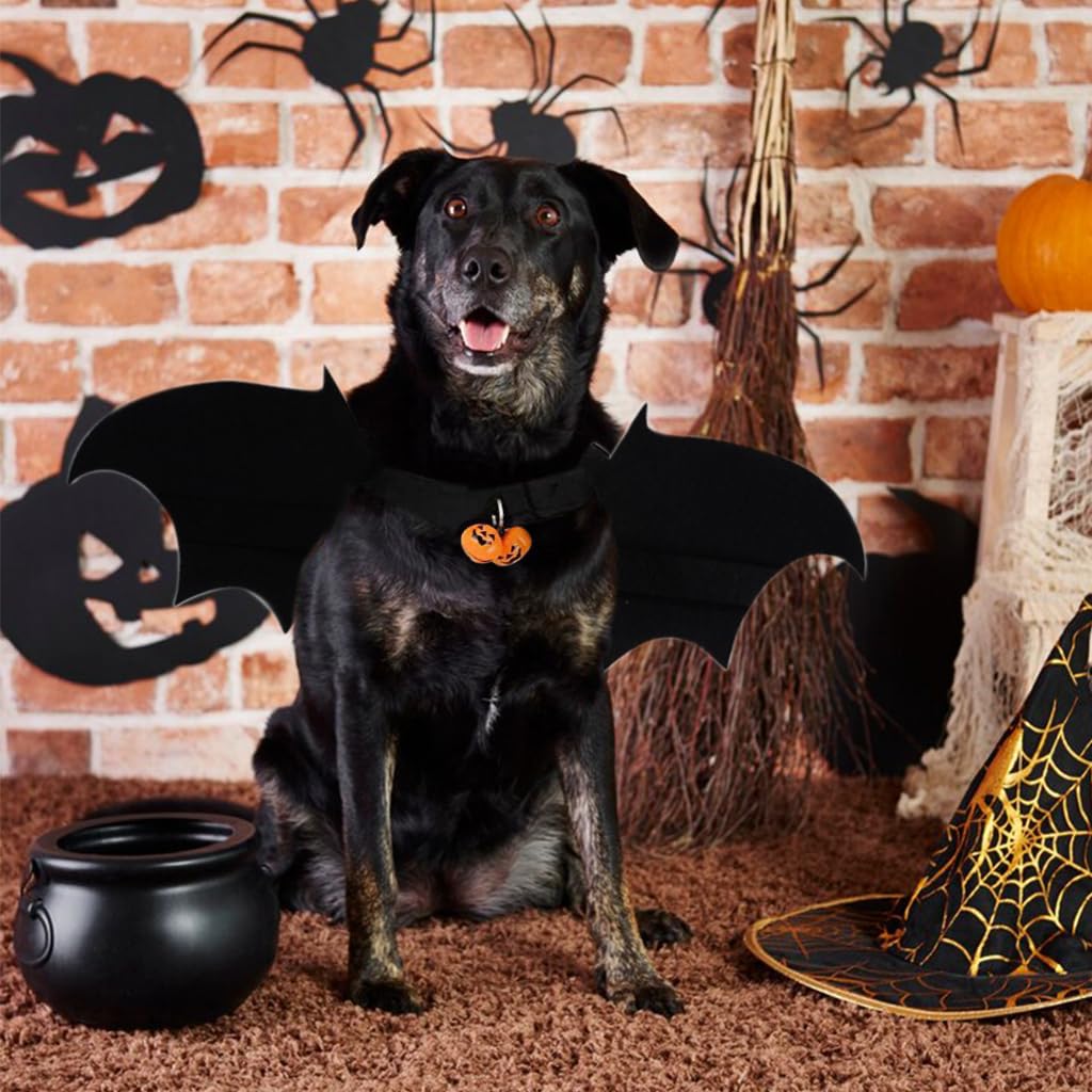 Qpets Dog Costume, Bat Wing Costume for Cat Puppy Bat Wing Collar with Bell Halloween Pet Costume Adjustable Hoop and Loop Closure Halloween Party Favor Dress Up for Cat Puppy, Size M