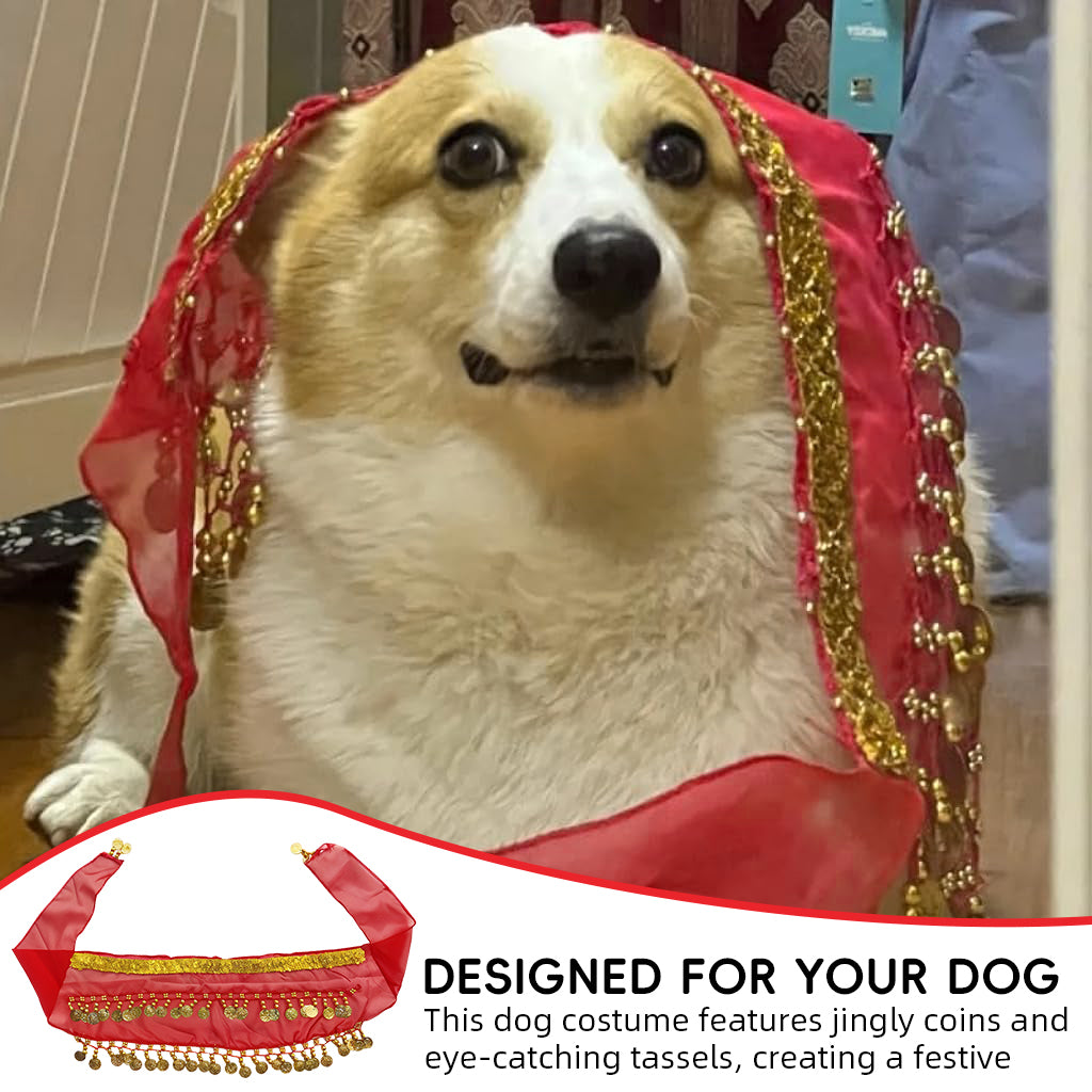 Qpets Dog Skirt, Belly Dancer Skirt for Dogs, Belly Dance Hip Scarf Fun Dog Costume for Party Silver Tassels Coins Sash for Dog Costume Party Prop