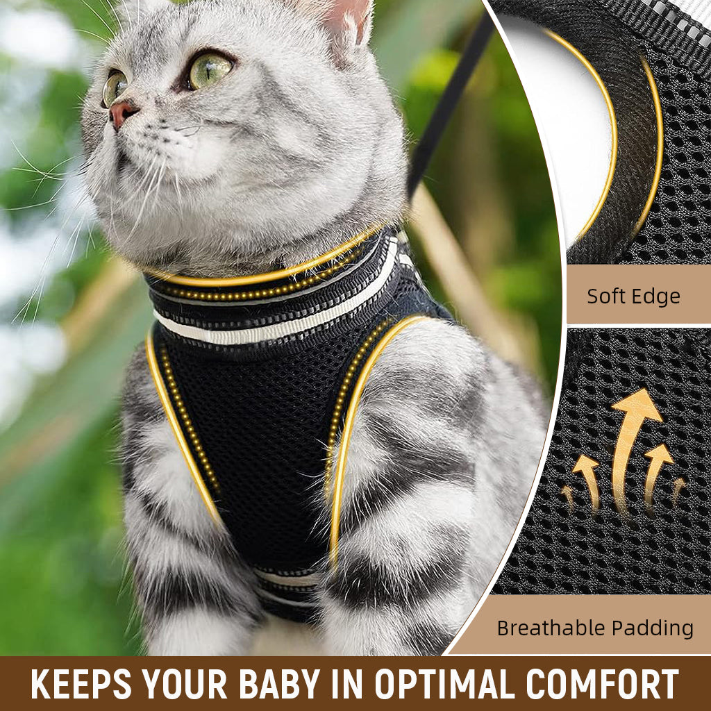 Qpets Cat Harness with Leash, Small Cat Vest Harness Cat Harness with Safety Night Reflective Strip Design, Breathable Adjustable Quick Release Summer Cat Harness for Walking