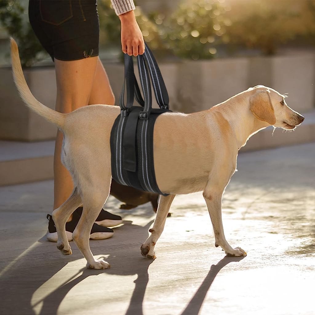 Qpets Dog Lift Harness Rear Leg Use Lifting Harness for Dog Rear Legs Support Adjustable Length and Size Rear Legs Dog Wheelchair for Back Legs for Aging Dog, Disabled, Injured Dog(Size, L)