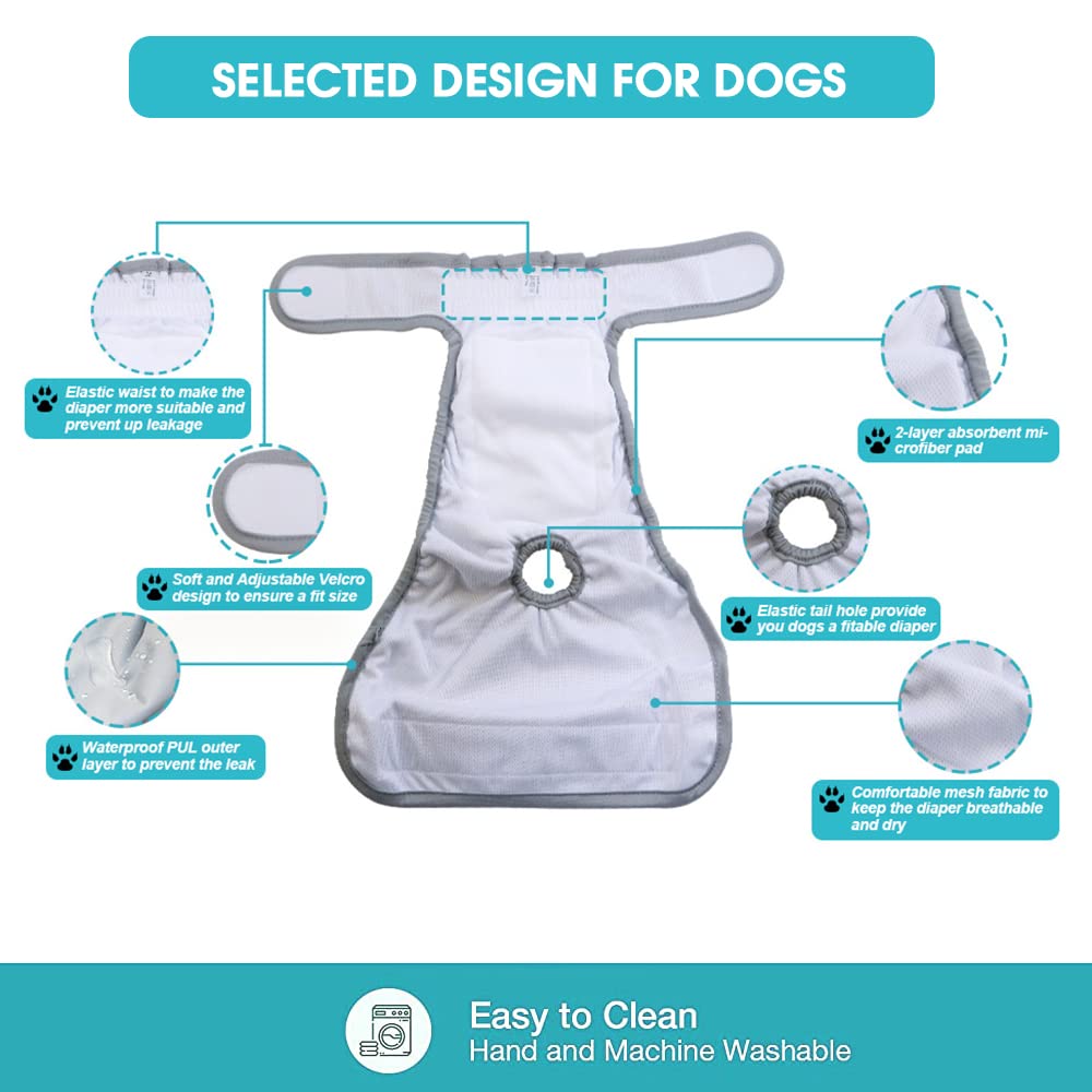 Qpets Diaper for Dogs Female, 2 Pack Pet Use Soft Reusable Female Dog Diapers, 160ml Water Absorbption Comfort Reusable Doggy Diapers for Female Dogs & Puppy(L, Recommended Waist 19''-27'')