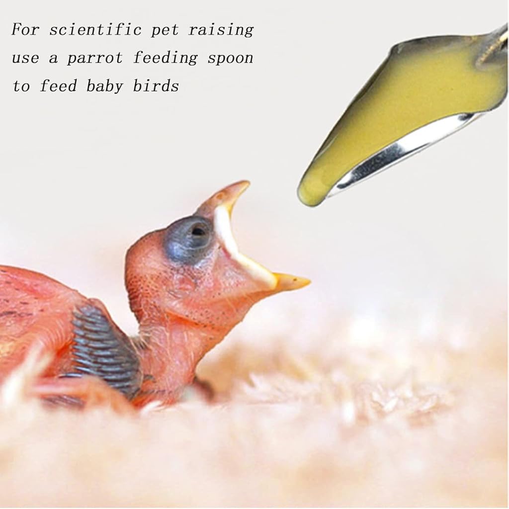 Qpets® Baby Parrot Feeding Spoons, Metal Bird Feeder Spoons, Narrow Tip Design for Hand-Feeding Small Birds (2Pcs)