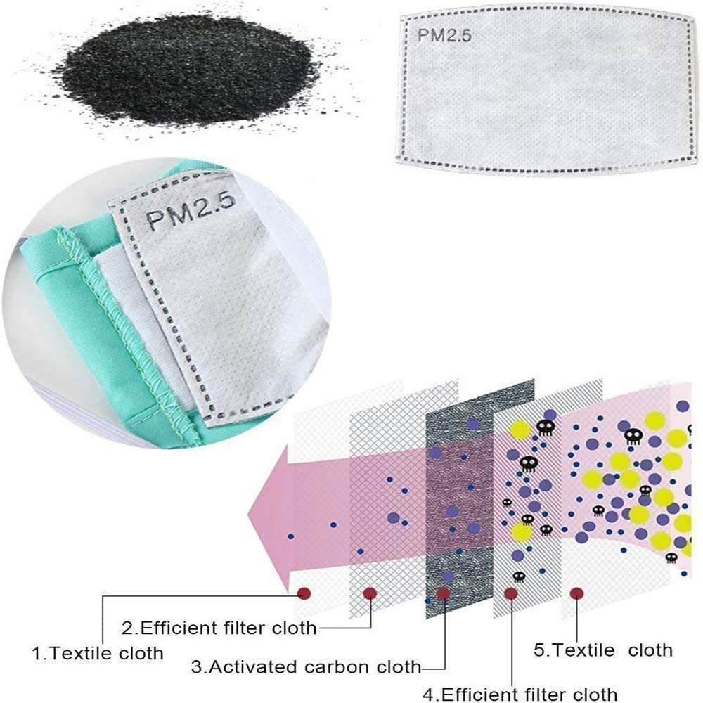 HANNEA 20 pcs PM2.5 Activated Carbon Mask Filter with 5-Layer Filtration-Adult Dustproof, Prevent Particulate Matter(Mask not Included)