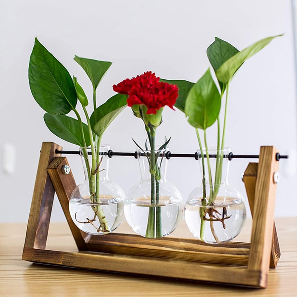 HASTHIP 3Pcs Hydroponics Glass Planter with Wooden Stand for Desktop Table Decor Home Office, Plant Terrarium, Air Planter Bulb Glass Vase for Propagating Money Plant, Flower and More