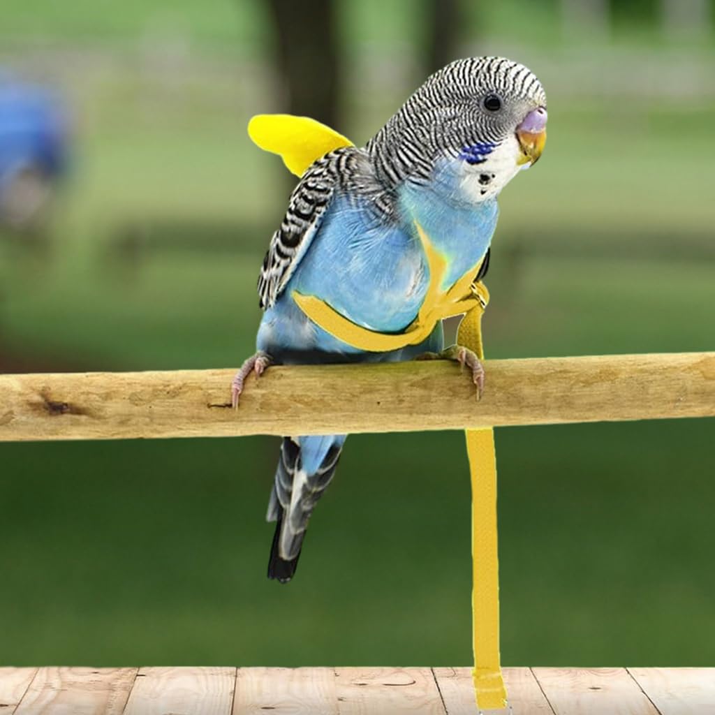 Qpets Bird Harness, Pet Parrot Harness, Elastic String Mini Lightweight Outdoor Harness for Birds, Parrot Adjustable Belt for Bird Quick Release Strap Design, M