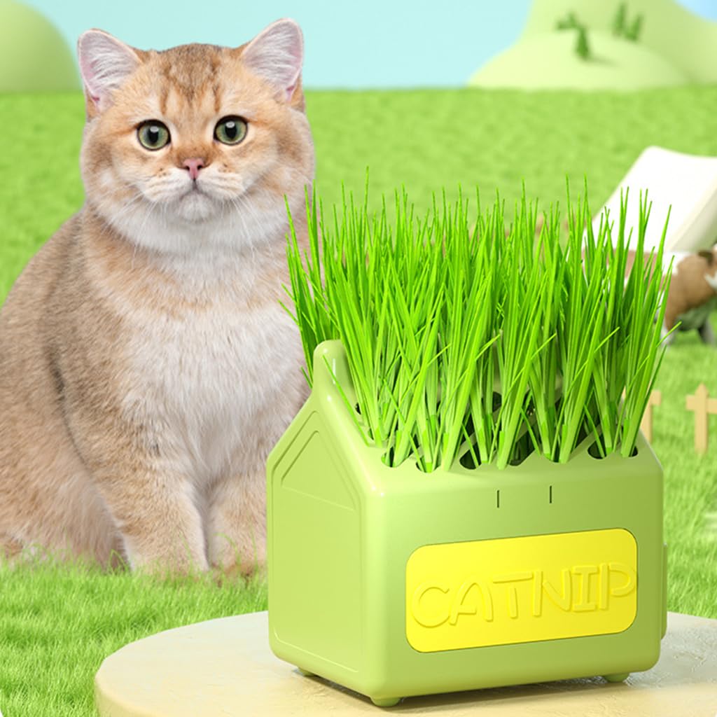 Qpets Cat Grass Planting Box Catnip Growing House Catnip Plant Pot Cartoon Milk Box Catnip Growing Box, 12x9x12cm