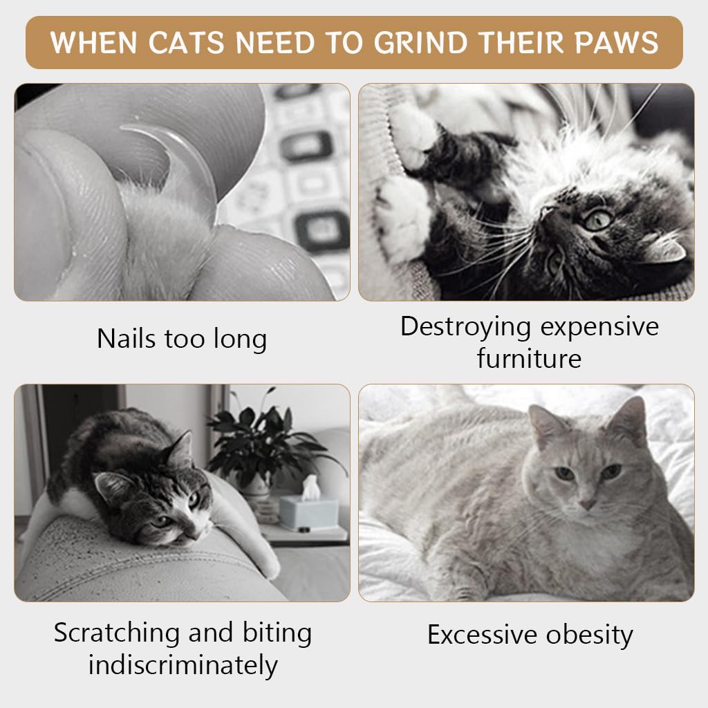 Qpets Wall Cat Scratcher