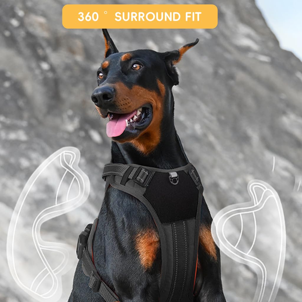 Qpets Rottweiler Dog Belt, Dog Harness for Dogs Medium Size, No-Pull Dog Harness with Handle and Double D Rings Quick Release Buckle Best for Working Training (L, 14-22.5KG)
