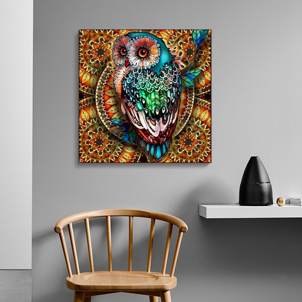 HASTHIP Diamond Painting Kit, 5D Diamond Painting Kit for Adults & Kids, 30 * 30cm Owl Full Drill Rhinestone Embroidery Cross Stitch Pictures Arts Craft for Home Wall Decor (Mandala)