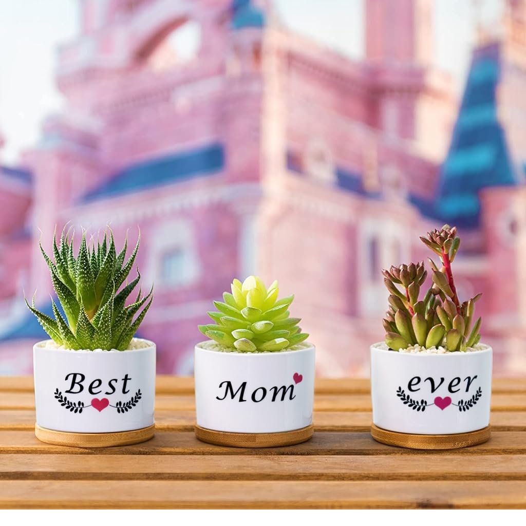 HASTHIP 3Pcs Ceramic Planters for Succulent with Wooden Tray & Gift Box, 3.1'' Small Ceramic Pot for Balcony Home Indoor & Outdoor, Highly Durable Succulent Pots