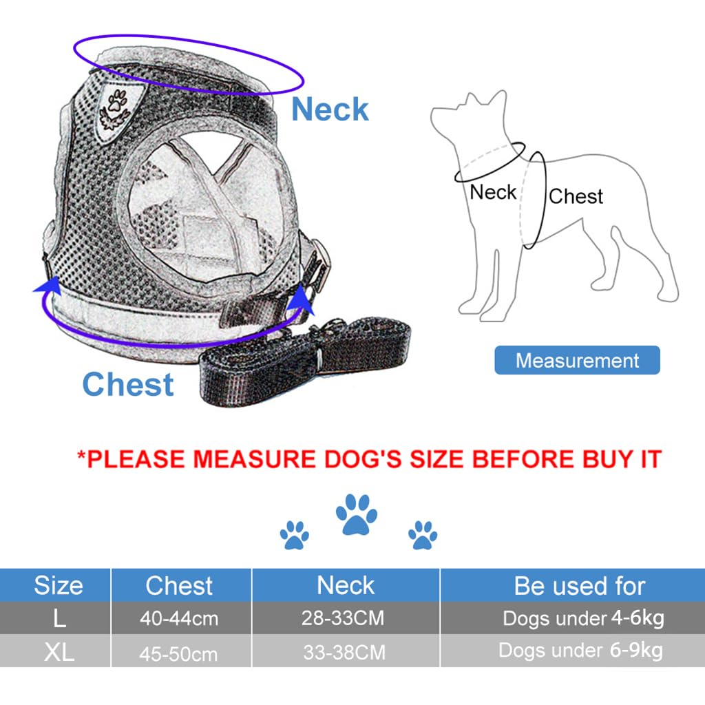 Qpets Dog Harness for Large Dogs, Adjustable Dog Belt with Safety Reflective Strip, Breathable Mesh Fabric Cat Belt, Dog Vest Harness with Leash (Suitable for 4-6 kg)