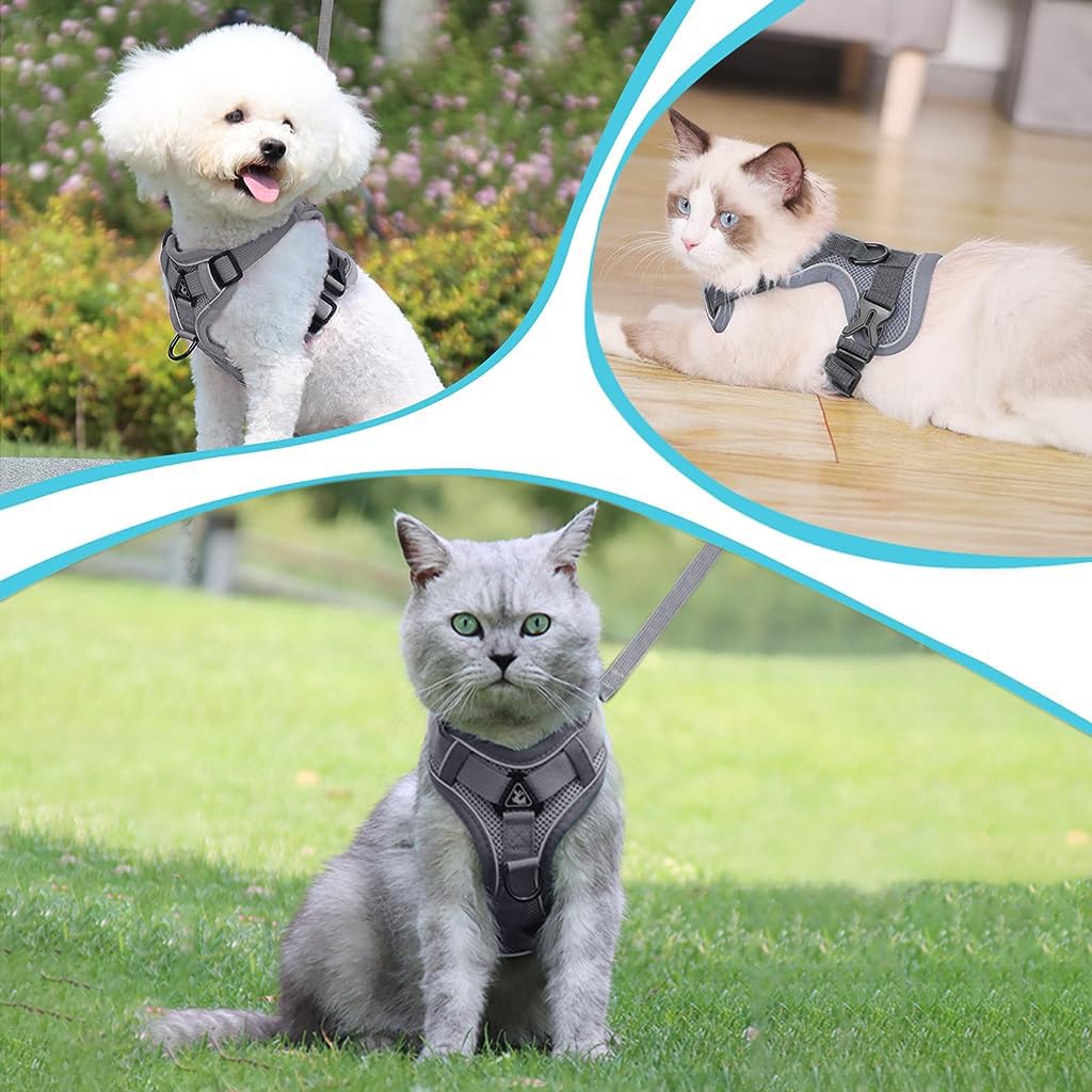 Qpets Cat Vest Harness with 1.5m Leash Adjustable Size Pet Vest Harness with Quick Release Buckle Breathable Fabric Cat Harness for Small Cat Puppy(M, Grey)