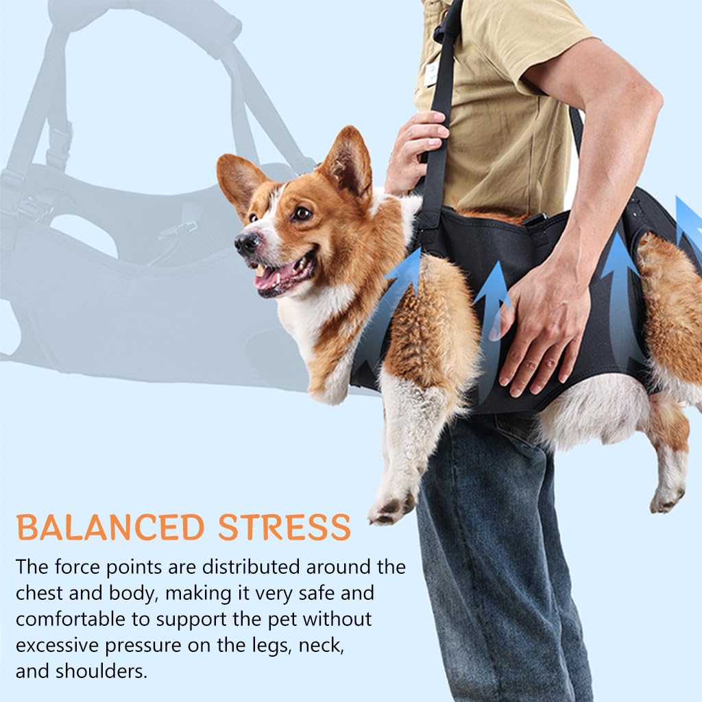 Qpets Dog Lift Harness, Walking Assistant Lifting Harness Dog Walking Support, Adjustable Length and Size Dog Walking Assistant Harness for Aging Dog, Disabled, Injured Dog (XL)