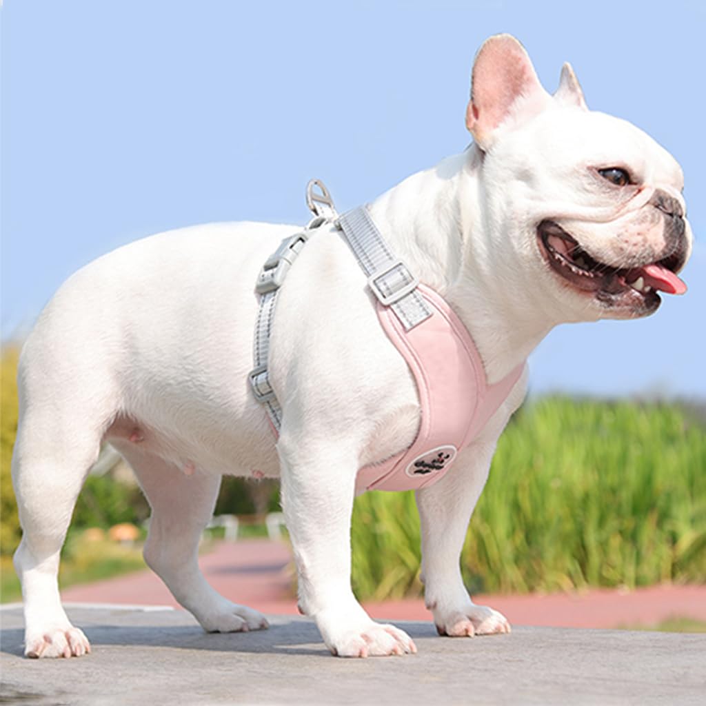 Qpets Dog Harness Pink, V Neck Dog Leash Set for Big Medium Dog, Ajustable Dog Harness, Dog Vest Harness with Leash, Safe Reflective Strap Dog Belt (Suitable for 10-16 kg)