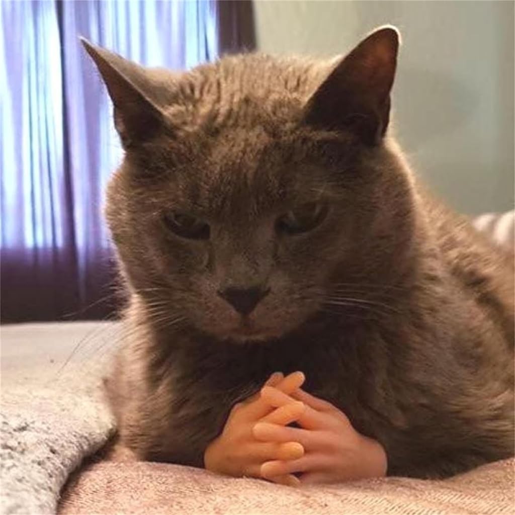 Qpets Mini Hands for Cats, Little Hands for Fingers Funny Little Cat Finger Gloves Soft Elastic Tiny Finger Hands Gag Puppet Show Mini Cat Gloves Mini Hands Toys (7PCS )