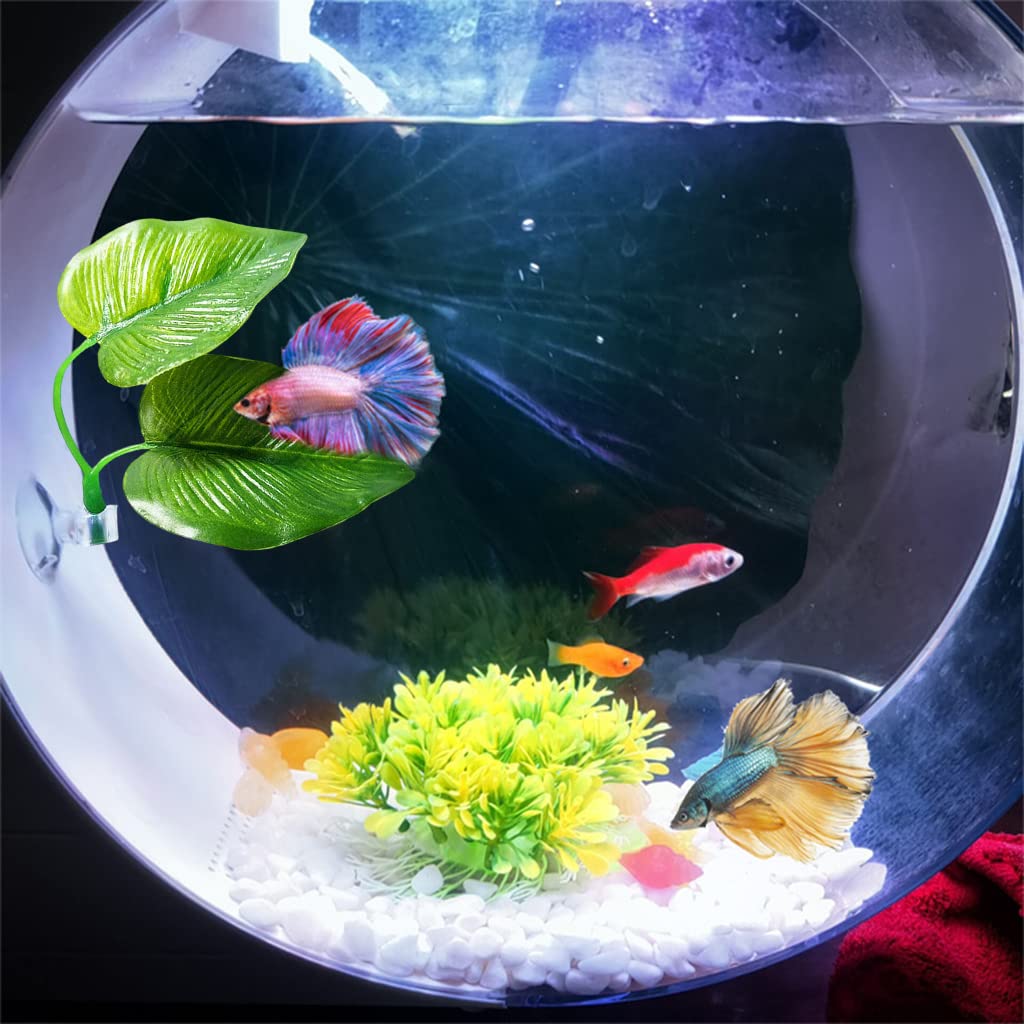 Qpets 2 Pcs Betta Fish Leaf Pad Realistic Rest Leaf Improves Betta's Health by Simulating The Natural Habitat Spawning Area Rest Area for Fish Aquarium